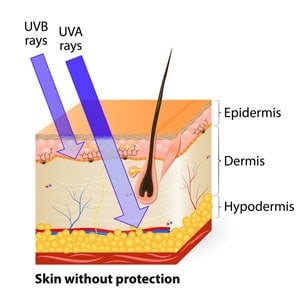 Diagram of skin layers and effect of UVB and UVA rays